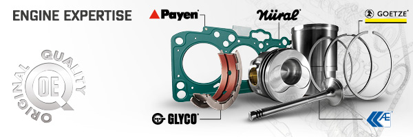 Engine expertise brands